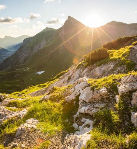 Berglandschaft