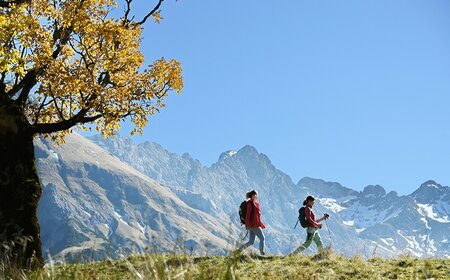 Wanderer blicken auf die Berge