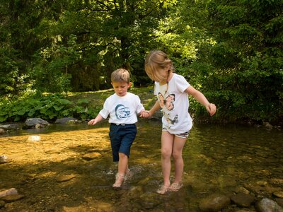 Kinder gehen über den Bach