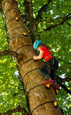 Mädchen klettert auf Kletterbaum