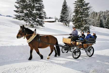 Pferdekutschenfahrt im Winter