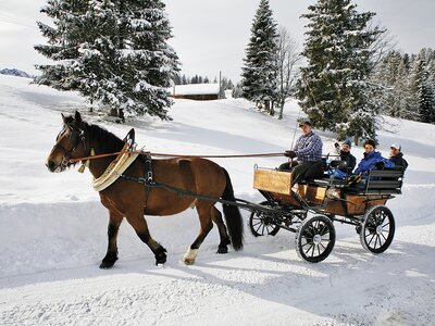 Pferdekutschenfahrt im Winter