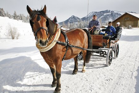 Pferdekutschenfahrt im Winter