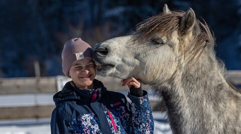 Pferde im Schnee