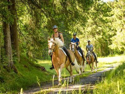 Drei Reiter mit Pferden reiten durch den Wald