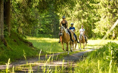 Drei Pferde mit Reiterinnen im Wald