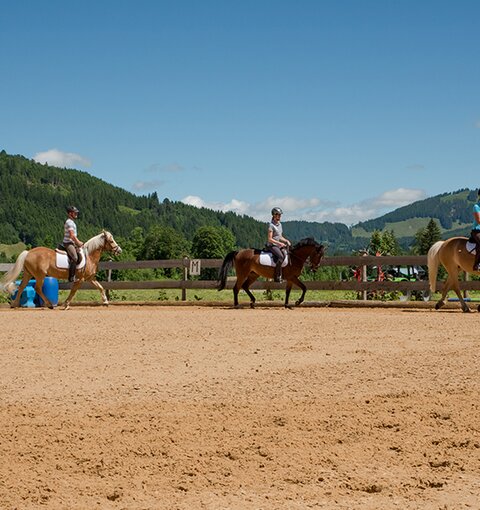 Reiter auf Pferd auf dem Reitplatz