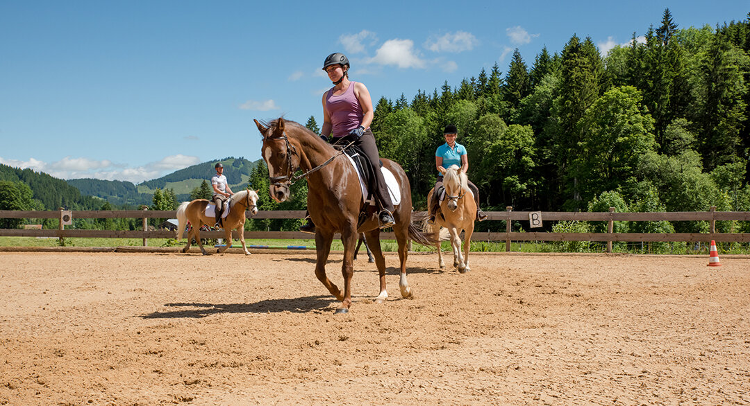 Reitlehrer und Dame auf Pferd auf dem Reitplatz